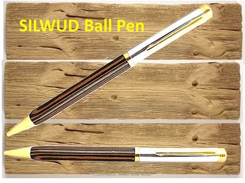 Silver Pen