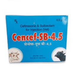 Cencef SB Injection