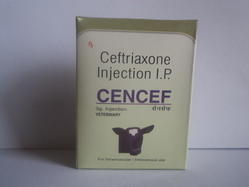 Cencef Injection