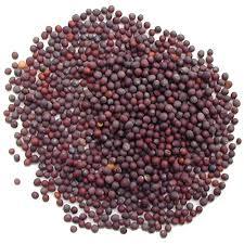 Mustard seeds