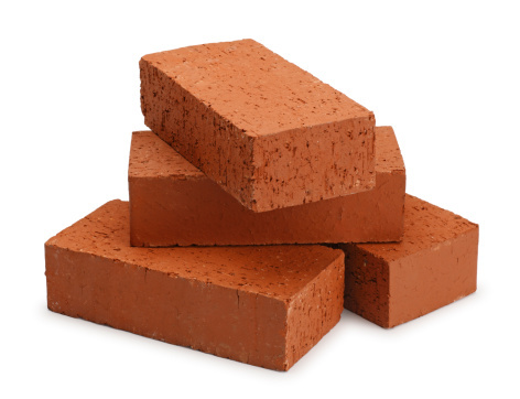 Coco Peat Briquettes