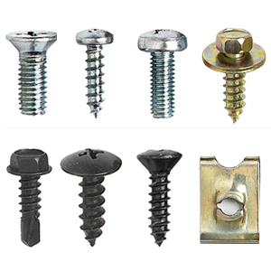 Cheese Head Screws