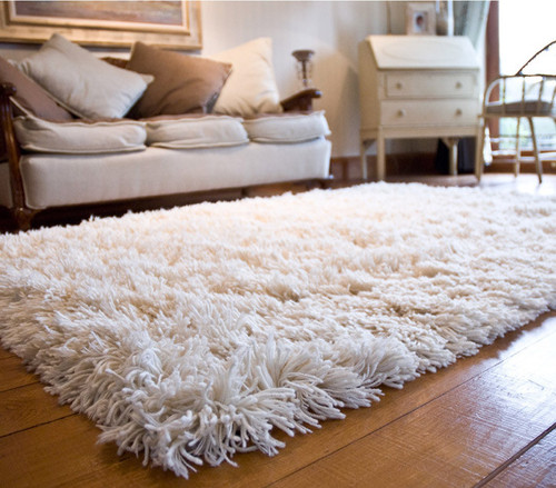Shaggy Rug