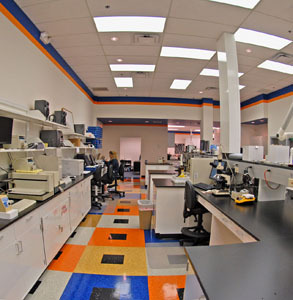 Minerals & Ore Services