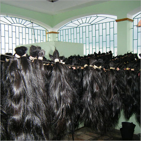 Human Hair