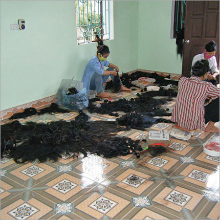 Vietnamese Hair