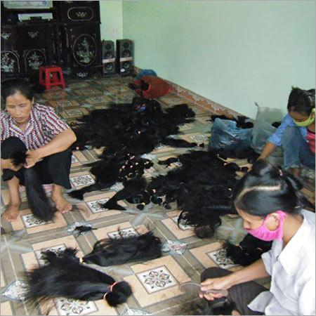 Vietnam Hair
