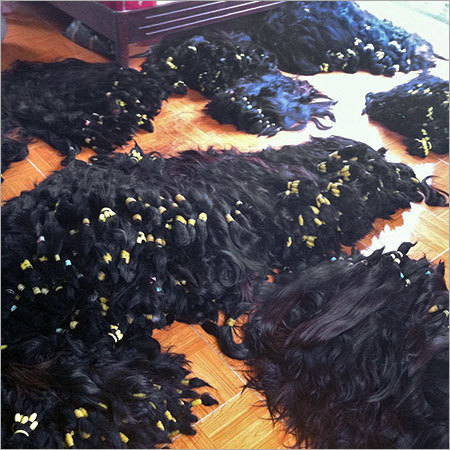 Vietnamese Hair