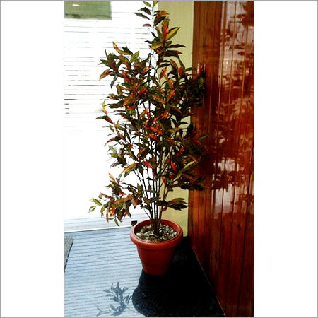 Restaurant Services - Plastic Pottery, 150-200cm, Brown | Low Maintenance, Durable Design, Realistic Look