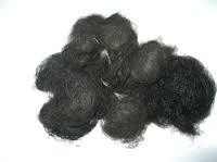HUMAN WASTE HAIR