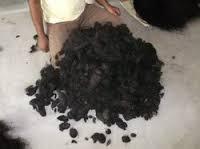 HUMAN WASTE HAIR
