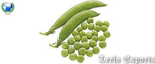 pea protein