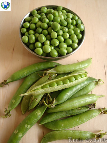 green pea