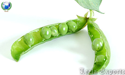 peas processing plant