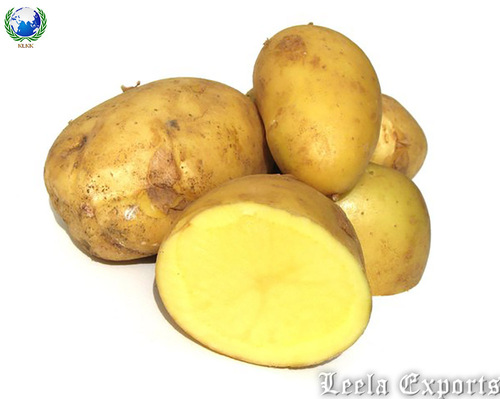 Potato