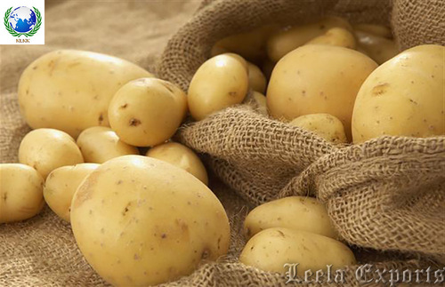 Potato chips making machine