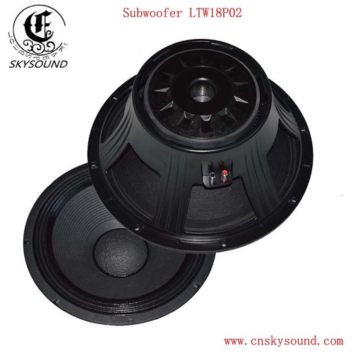 PA Speaker Woofer