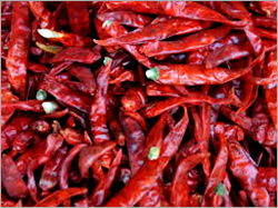 Dry Red Chilli