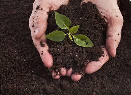 Agriculture Soil Testing