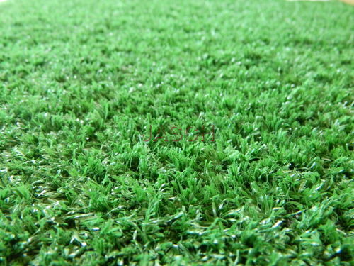 Artificial Turf Installations Services