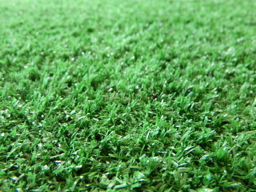 Installation of Grass