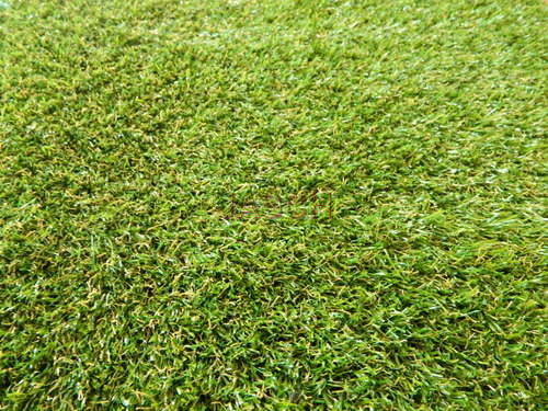 Installation of Grass