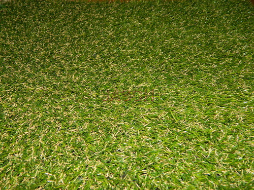 Installation of Grass