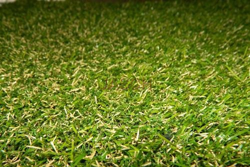 Installation of Grass