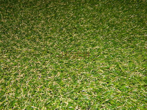 Installation of Grass