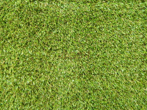 Installation of Grass