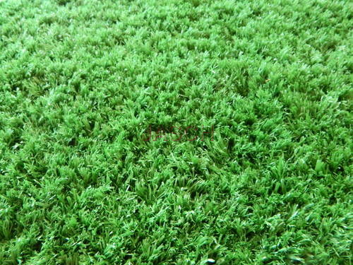 Installation of Grass