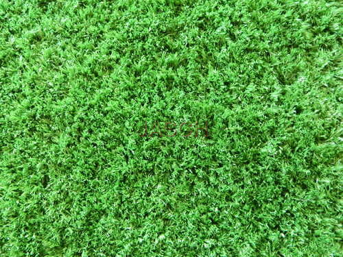 Installation of Grass