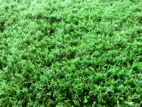 Installation of Grass