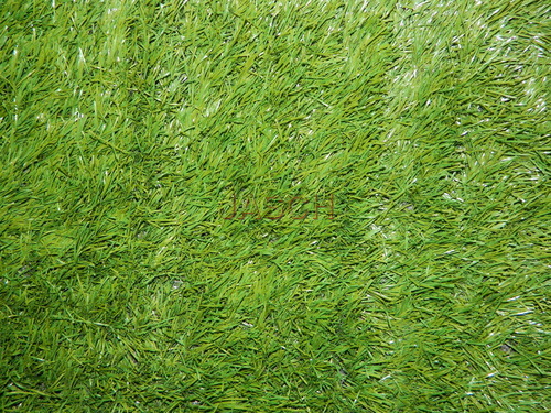 Installation of Grass