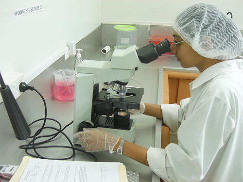 Microbiological Laboratory