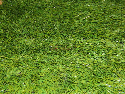 Installation of Grass - Green Color, Variable Coverage Area, Variable Density | Erosion Control, Improved Drainage, Enhanced Soil Health