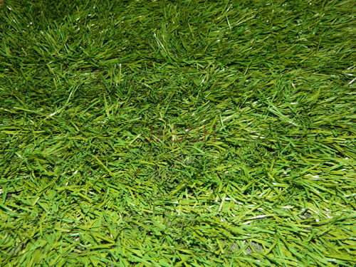 Installation of Grass
