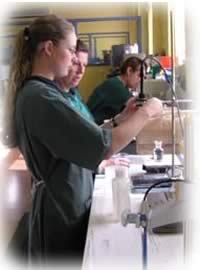 Chemical Analysis Of Dialysis Water