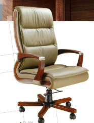 Director Revolving Chair