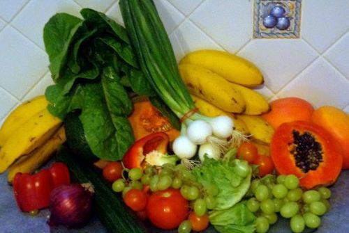 Food Product Testing 