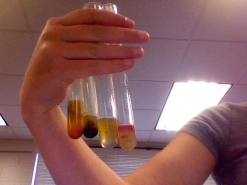 Food Product Testing 