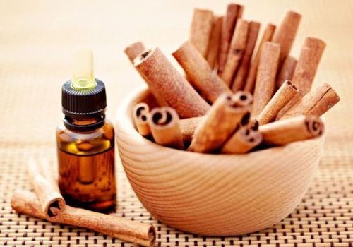 Cinnamon Bark Oil