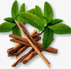 Cinnamon Leaf Oil