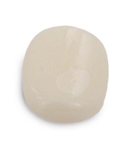 Safed Moonga White Coral Stone In Mumbai