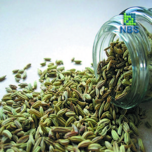 Fennel Seeds (Saunf)