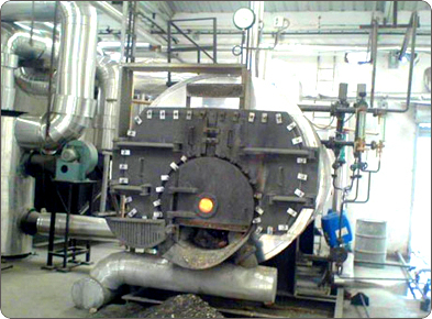 Multi Fuel Industrial Steam Boiler