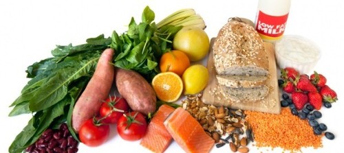 Food Product Testing 