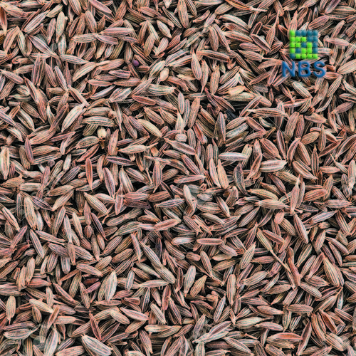 Cumin Seeds (Jeera)