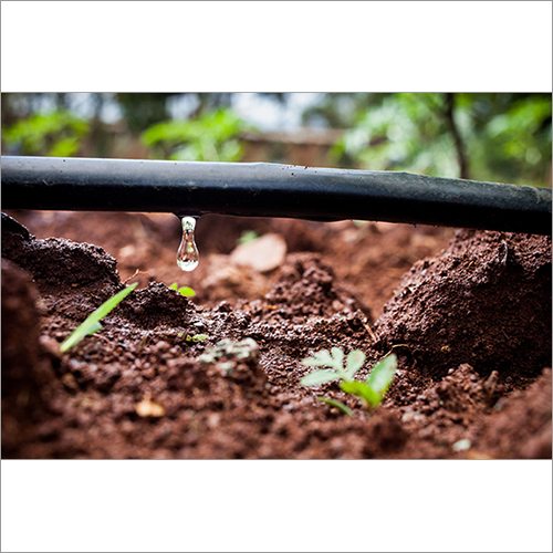 Drip Irrigation System