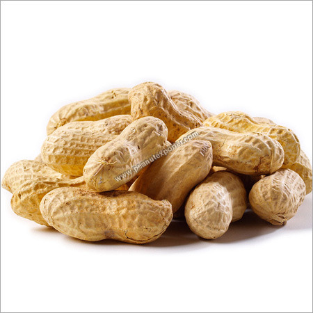 Salted Roasted Peanuts